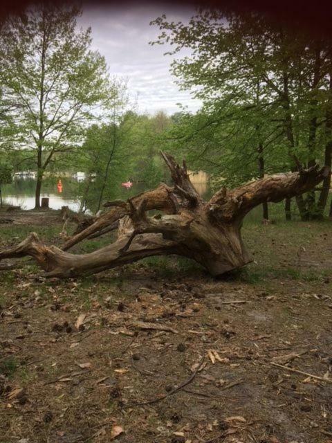 Ferienappartements am See Schorfheide Buitenkant foto
